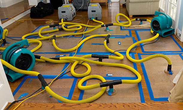 Professional Burst Pipe Water Damage technician working in Eagle Lake, WI